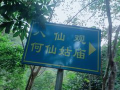 -风云岭森林公园
