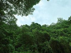 -梧桐山风景名胜区