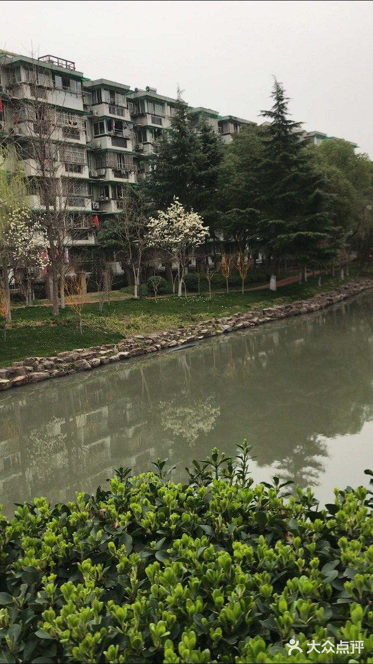 花也开了,虽然叫不出来名字