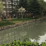 花也开了,虽然叫不出来名字