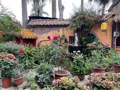 -园林美食城·本土农家菜(杨和镇店)