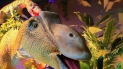 -恐龙探索乐园(磁器口店)