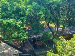 -满記土窑烧鷄波浪山莊