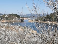 -广州市流溪河国家森林公园