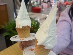 -野人先生Gelato(上海长宁龙之梦店)