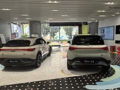 -上海浦东smart汽车全功能店(金桥店)