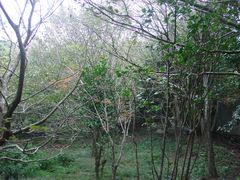 -普陀山慧济禅寺