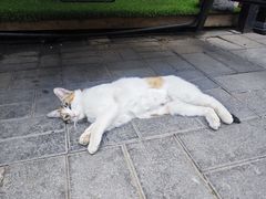 -后海16号·北京私房菜