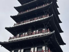 -宜兴龙背山森林公园