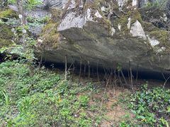 -山王坪喀斯特国家生态公园