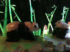 -长春公园(普阳街道)