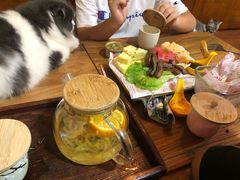 -李小姐の猫咖啡馆(五角场店)