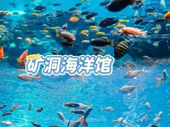 -长鹿旅游休博园