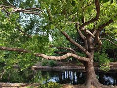 -共青国家森林公园-南大门停车场