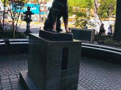 -涩谷区