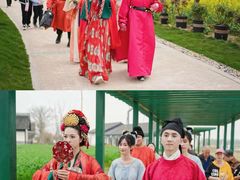 -杭州湾海上花田景区