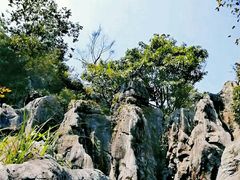 -千岛湖石林