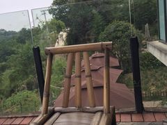 -远山有窑