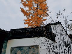 -衣裳街历史文化街区