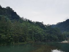 -桤木河湿地公园