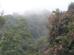 -广州市白云山风景名胜区