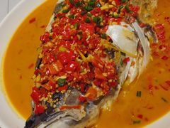-全乐鱼馆·淳牌有机鱼直营店