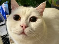 -FAELING PETS美天灵宠物(富力广场店)