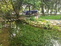 -成都市活水公园