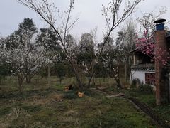 -樱桃山旅游景区