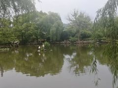 -司徒庙