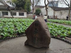 -绍兴鲁迅故里·沈园景区