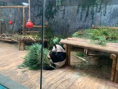 -深圳野生动物园