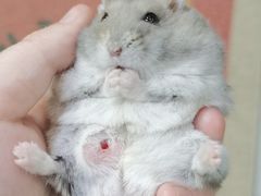 -龙猫仔乐园(惠福东路店)