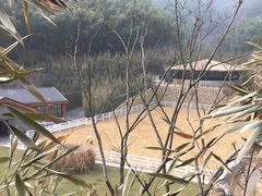 -宁海安岚·南溪阁全日餐厅