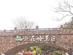 -桃花岭景区
