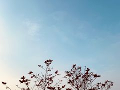 -大罗山风景区