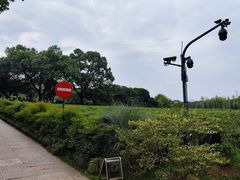 -中国茶叶博物馆(双峰馆区)