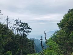 -峨眉山风景名胜区
