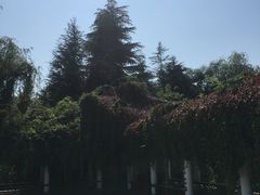 -洛阳市隋唐城遗址植物园