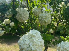 -合肥三国新城遗址公园