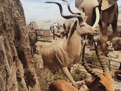 -陕西自然博物馆