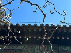 -潭柘寺景区