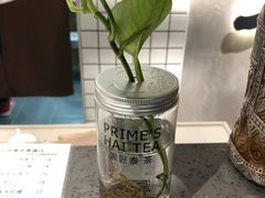 -素匠泰茶(三里屯SOHO工体奶茶店)