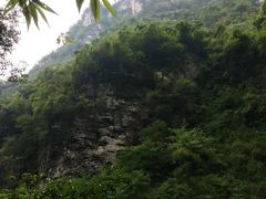 -青龙山国家森林公园