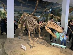 -自贡恐龙博物馆