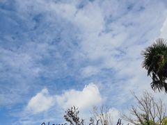 -两河城市森林公园