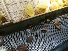-金权道韩式自助烤肉(嘉华国际店)