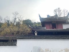 -宁波市保国寺古建筑博物馆