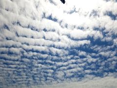 -赵家牛肉砂锅(台西三路店)