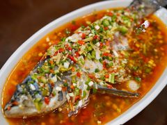 -飞虹鱼馆(春华路店)